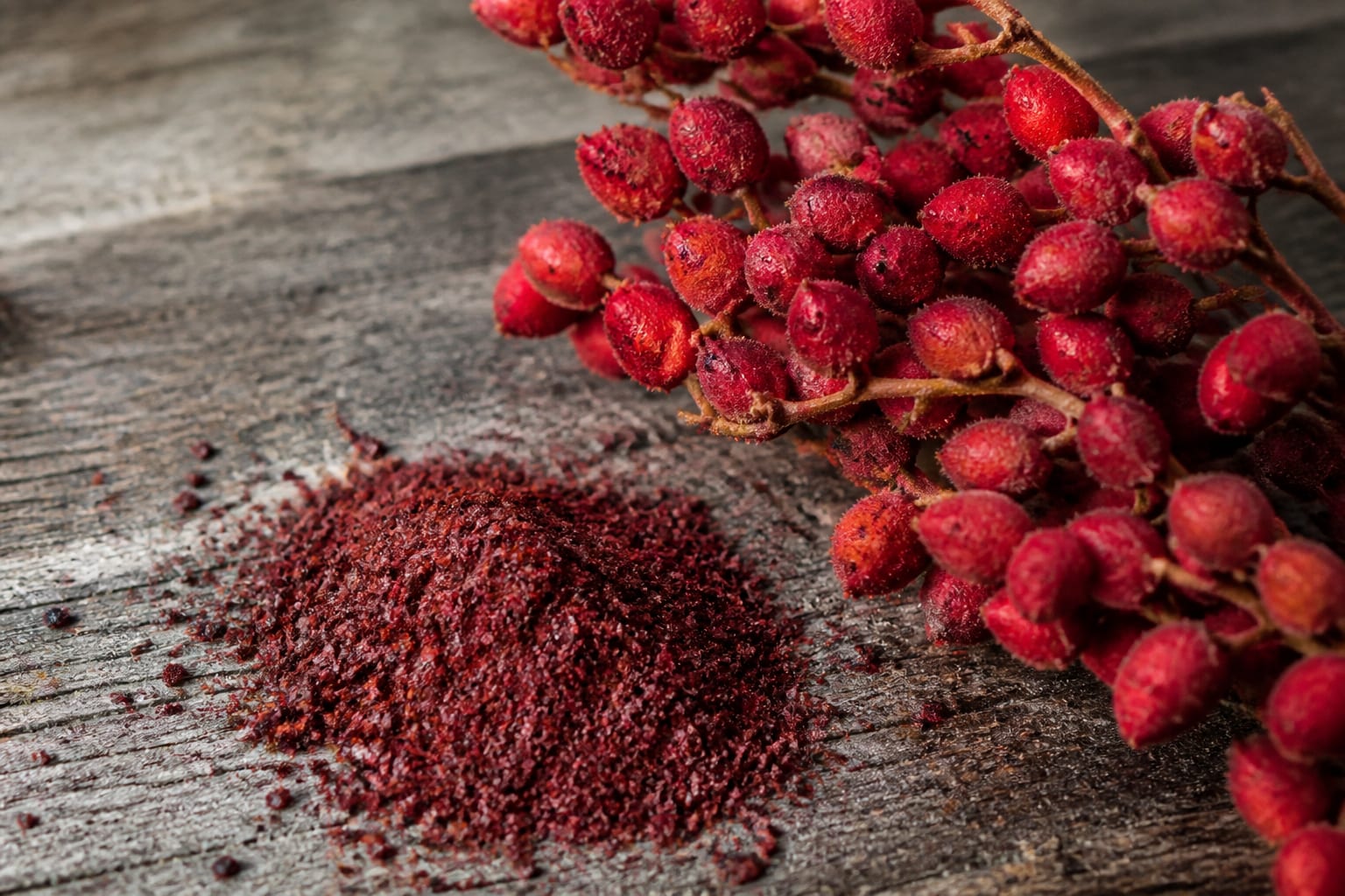 Ce arată cercetările despre sumac și de ce contează și culoarea fructelor