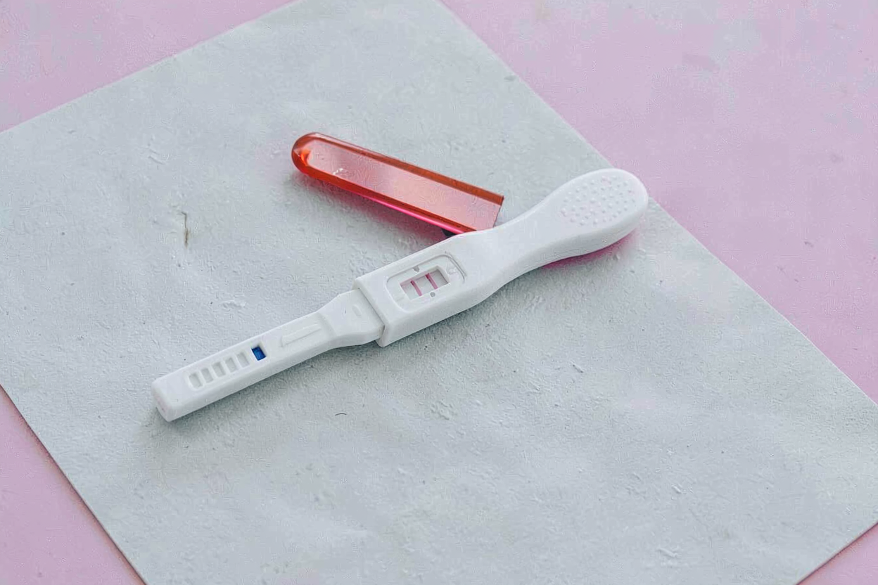 Gena Nfkb1 identificată de Universitatea Monash ar putea prelungi viața reproductivă feminină